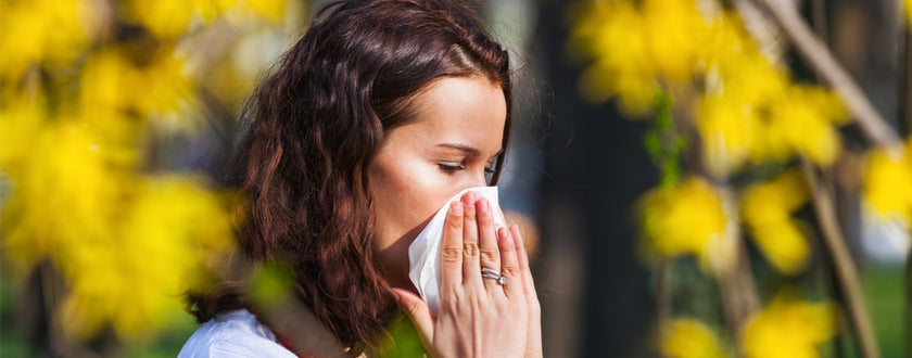 Non lasciatevi prendere dall'allergia!