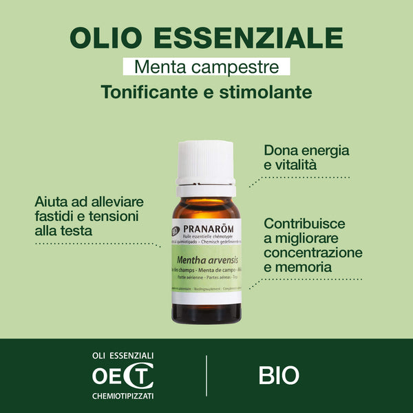 17688-he-menthe-des-champs-pranarom-10ml-bio-it25-5420008539114-02.jpg