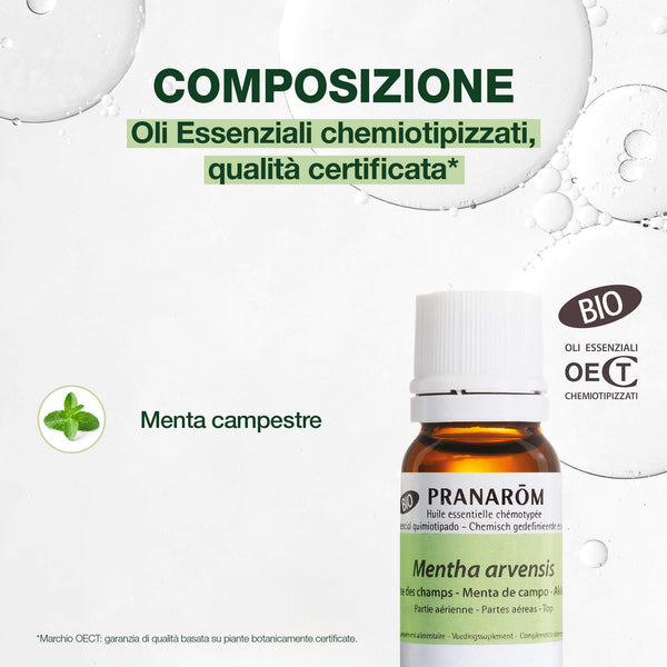 17688-he-menthe-des-champs-pranarom-10ml-bio-it25-5420008539114-03.jpg