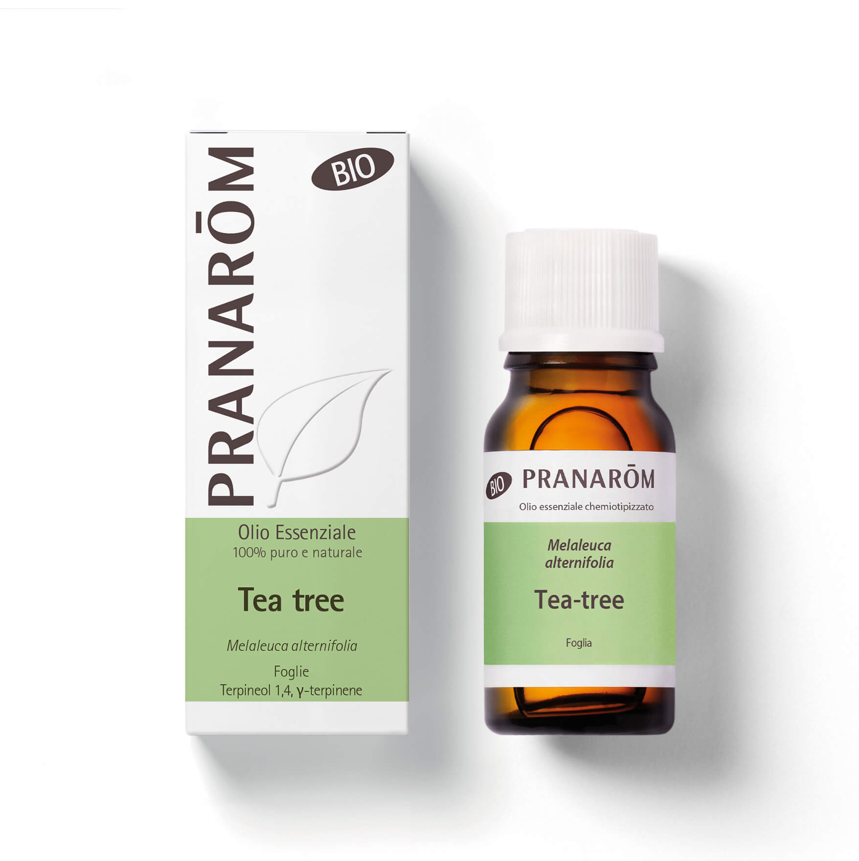 Albero del tè - Bio