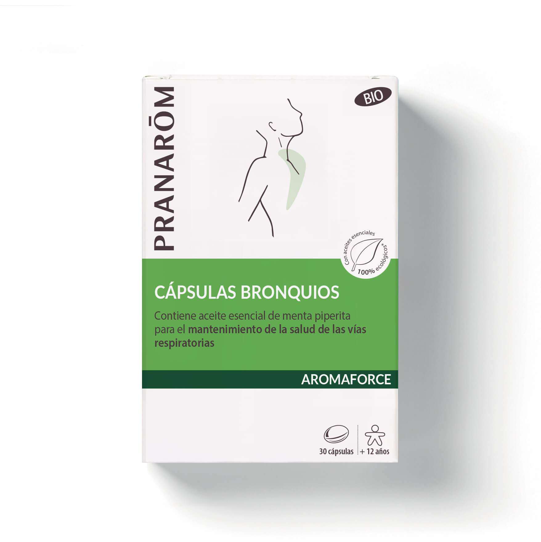 Capsule bronchi - Bio