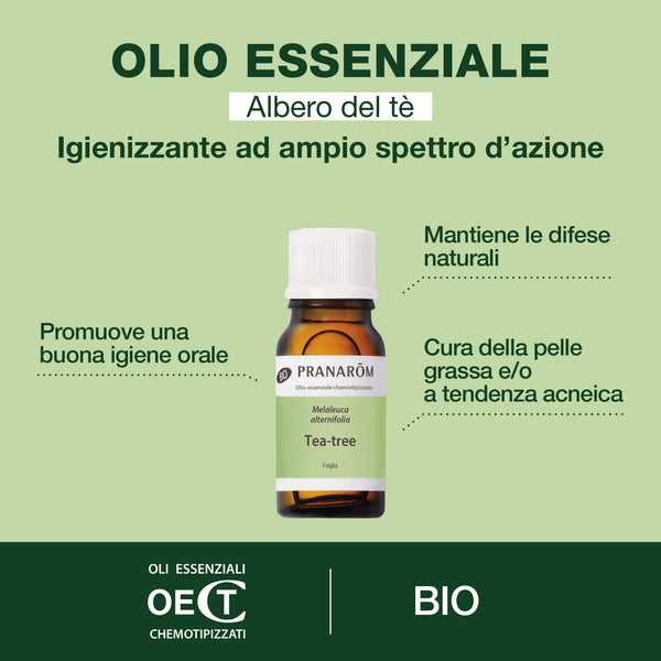 i2450-albero-del-te-foglia-pranarom-10ml-it24-5420008516207-02.jpg