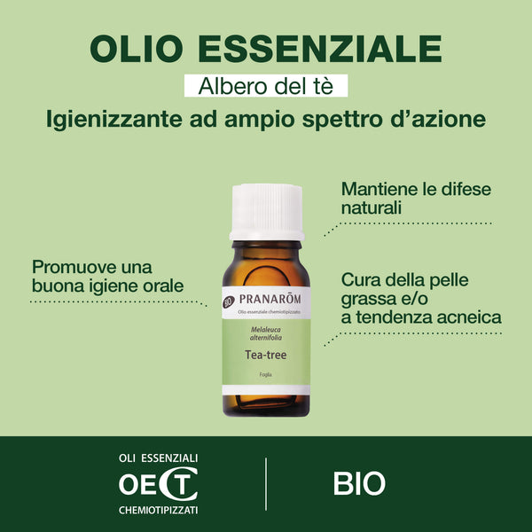 i2450-albero-del-te-foglia-pranarom-10ml-it24-5420008516207-02.jpg