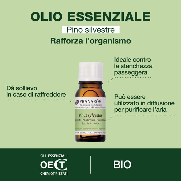 i2451-he-pin-sylvestre-pranarom-10ml-bio-it25-5420008516535-02.jpg