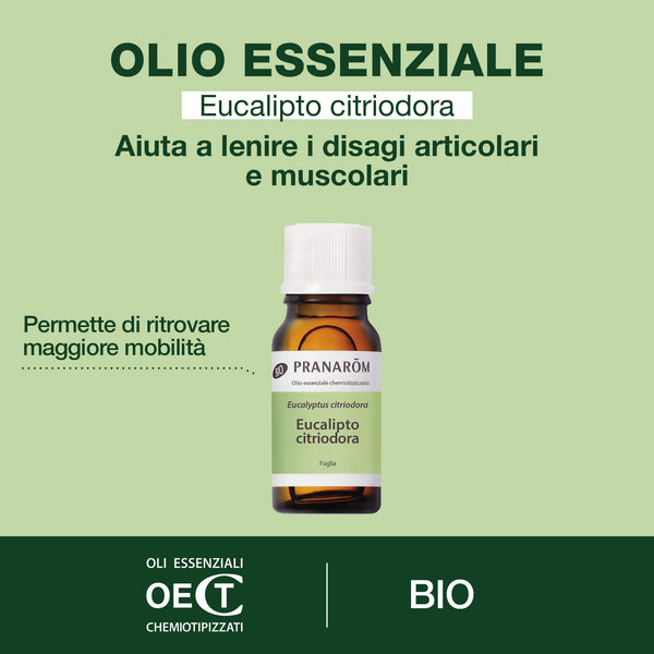 i7269-he-eucalyptus-citronne-pranarom-10ml-bio-it25-542000851632-02.jpg