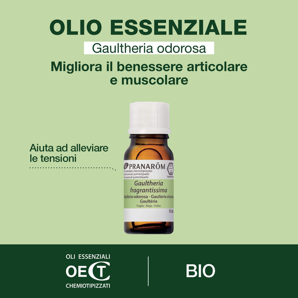i7299-he-gaultherie-odorante-pranarom-10ml-bio-it25-5420008516368-02.jpg