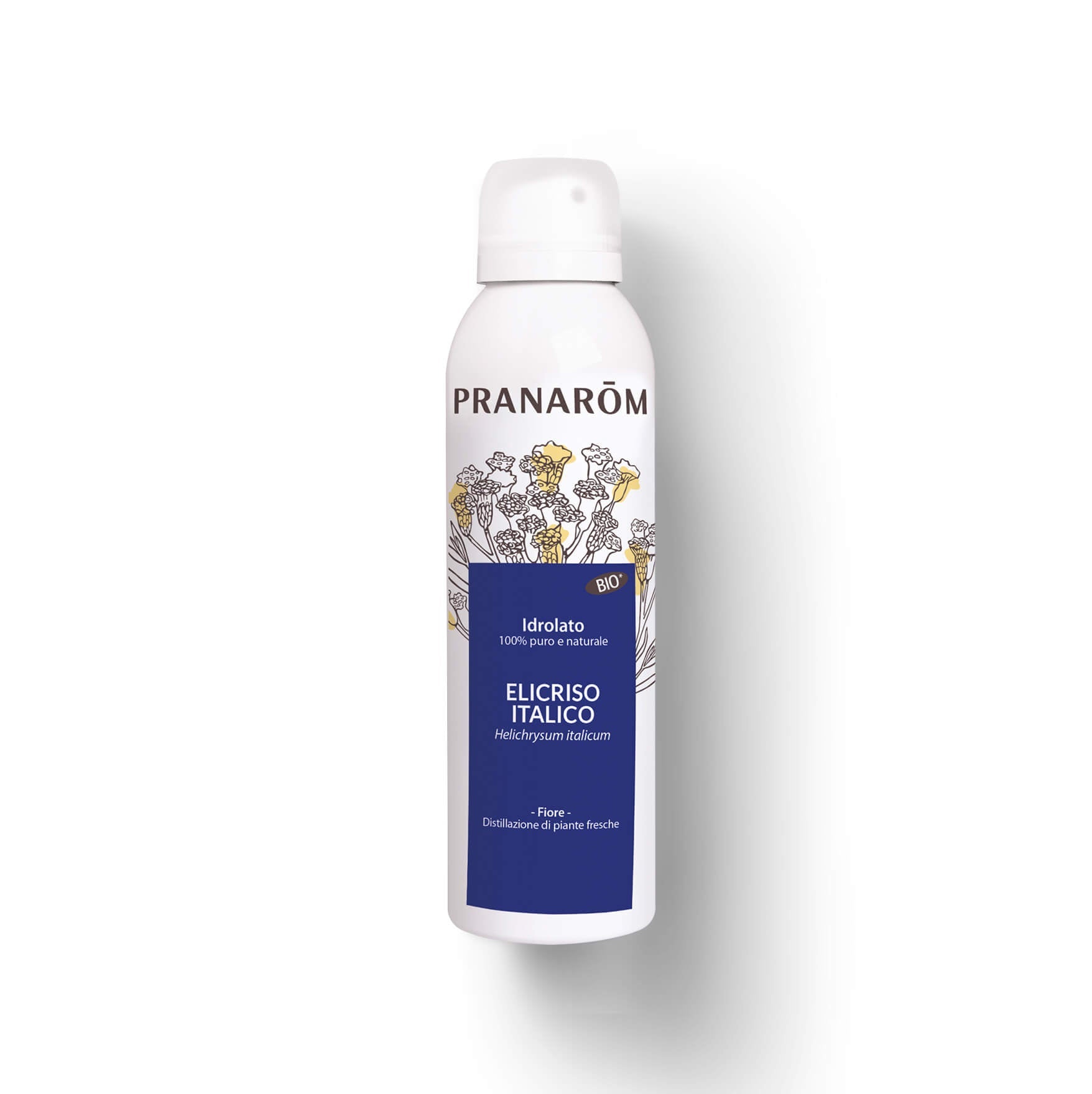 Elicriso Italico - Bio