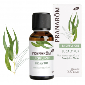 Eucaly Pur - 30 ml | Pranarôm