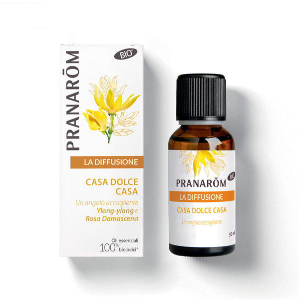 Scent-Hi Profumatore per Ambienti Bastoncini 120ml Diffusore di Oli Essenziali Eucalipto Salvia, Senza Alcool, Diffusore Profumato Fragranza a Lunga Durata, Regalo Festa della Mamma