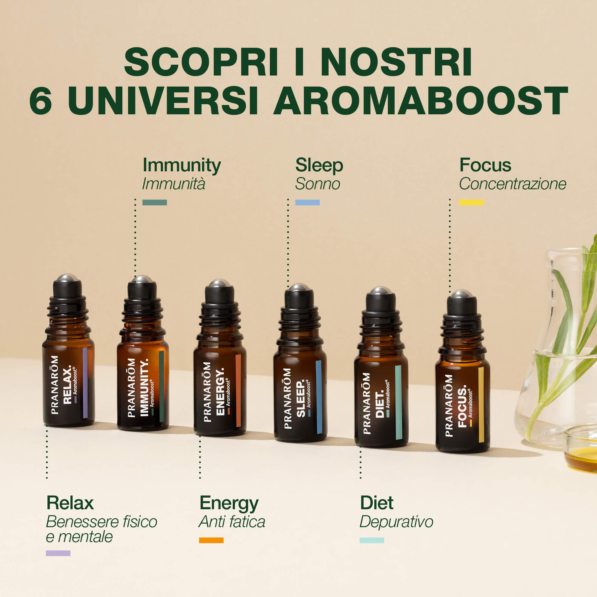 Olio Essenziale Di Cannella Di Ceylon (Corteccia) Bio Pranarom – 5 Ml – Uso Alimentare E Cutaneo