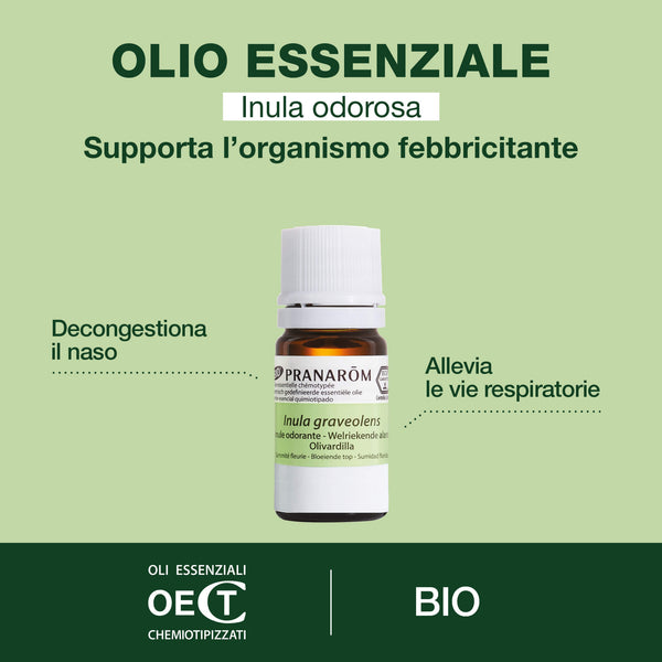 i3573-he-inule-odorante-pranarom-5ml-bio-it25-5420008516399-02.jpg