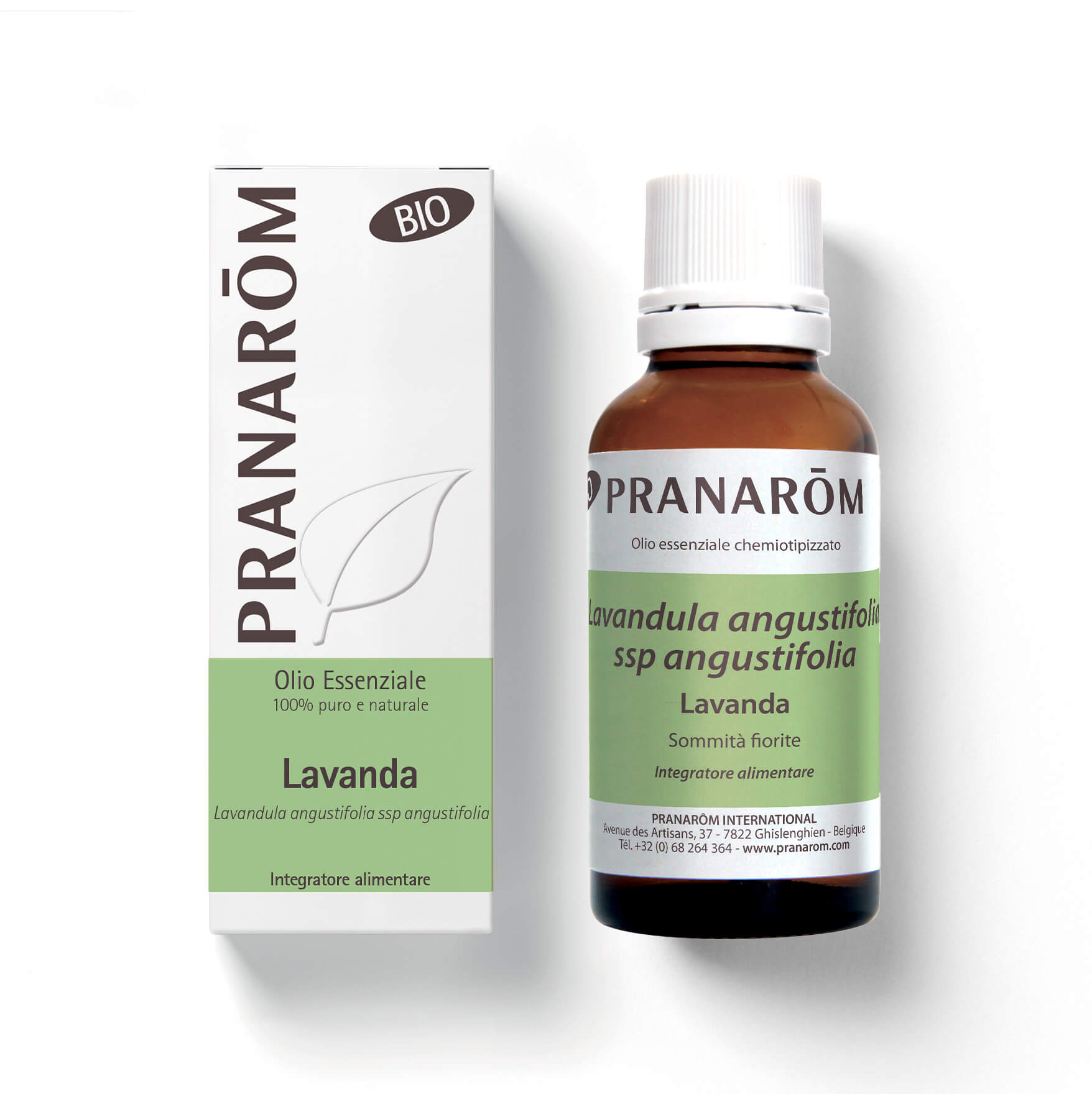 Lavanda - Bio