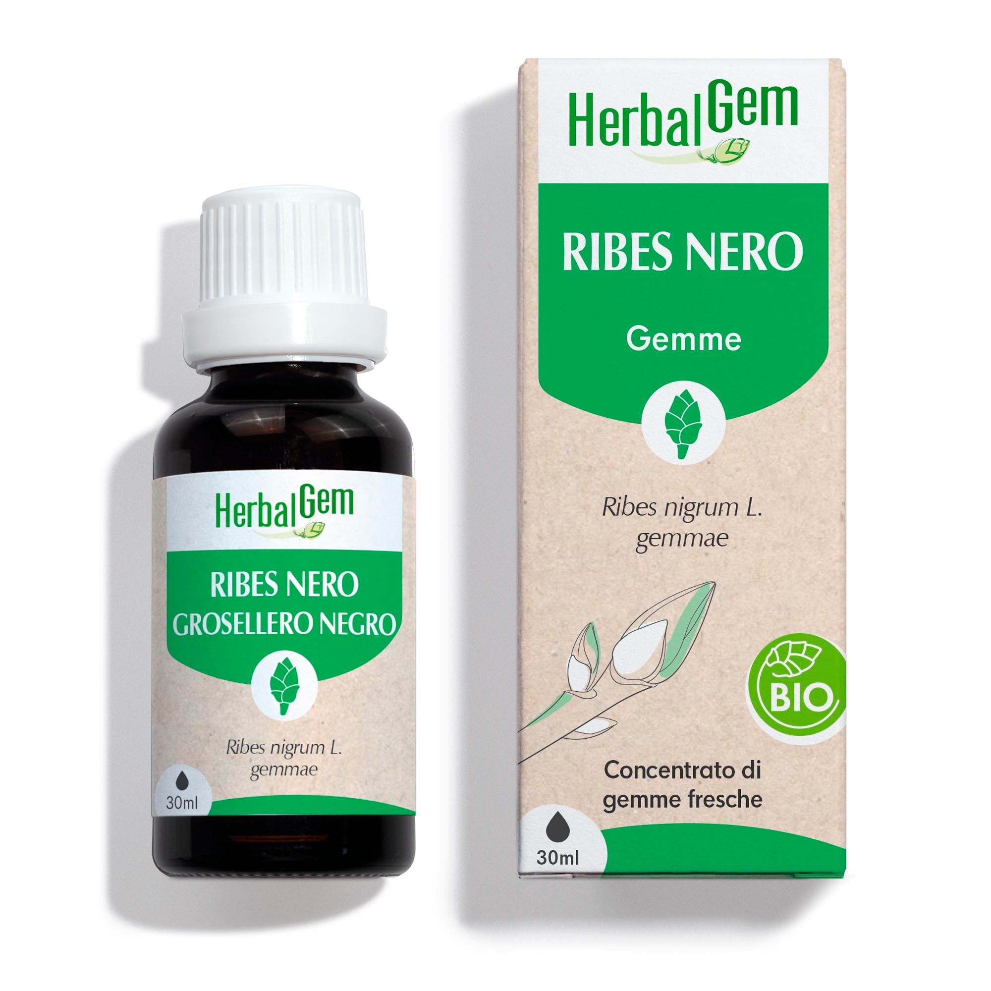 RIBES NERO - Bio